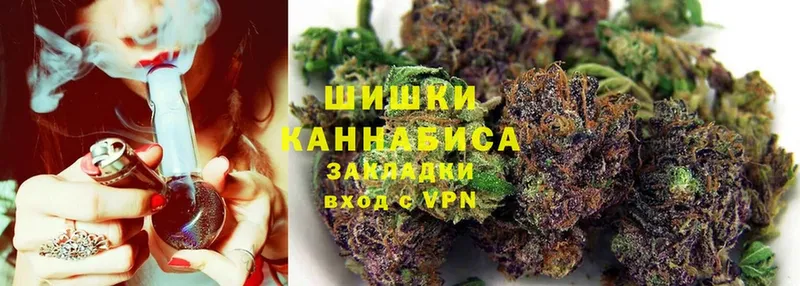 Шишки марихуана THC 21%  Ардон 